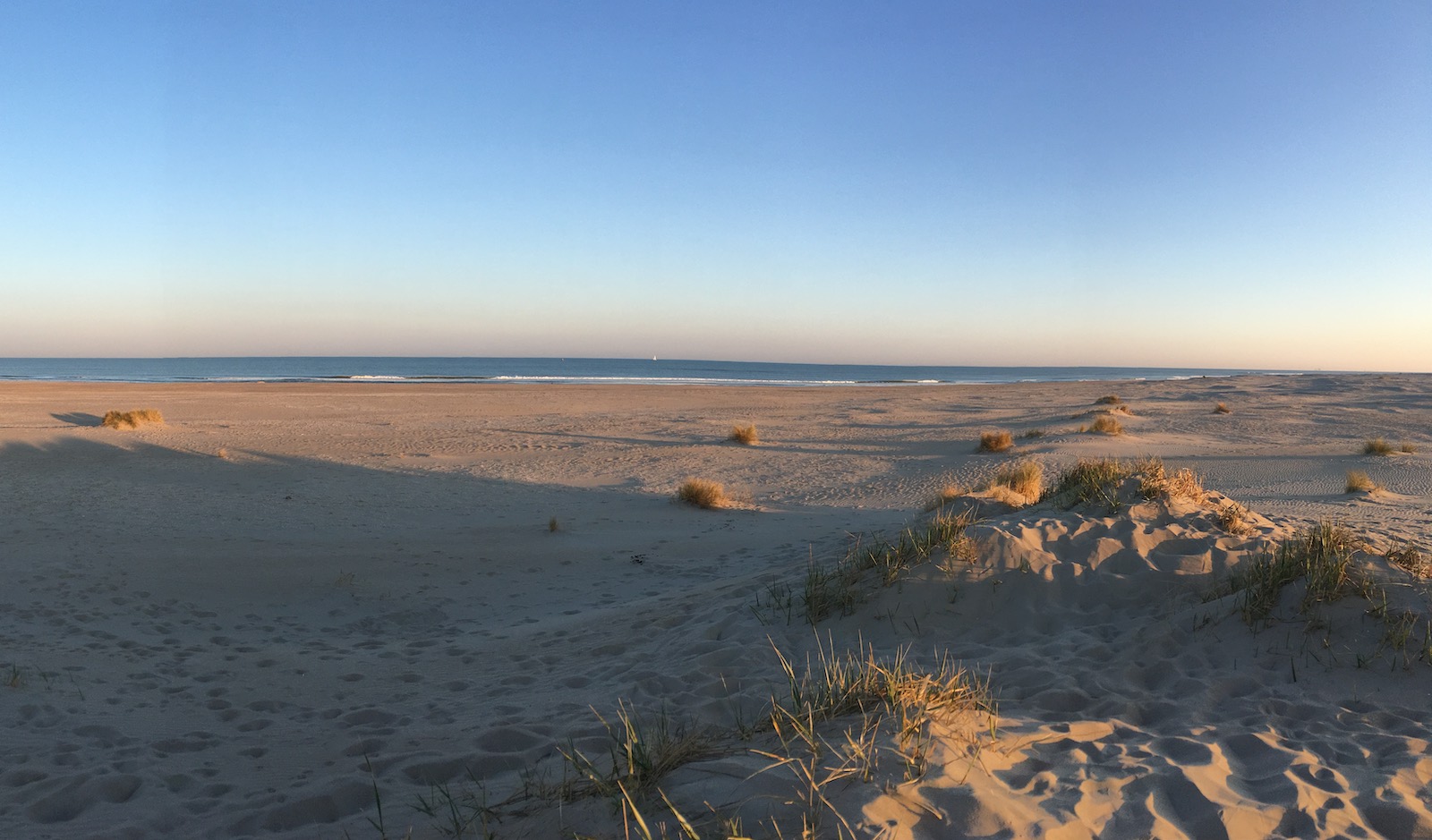 Acupunctuur, Chinese kruiden, Shiatsutherapie en Aktieve meditaties